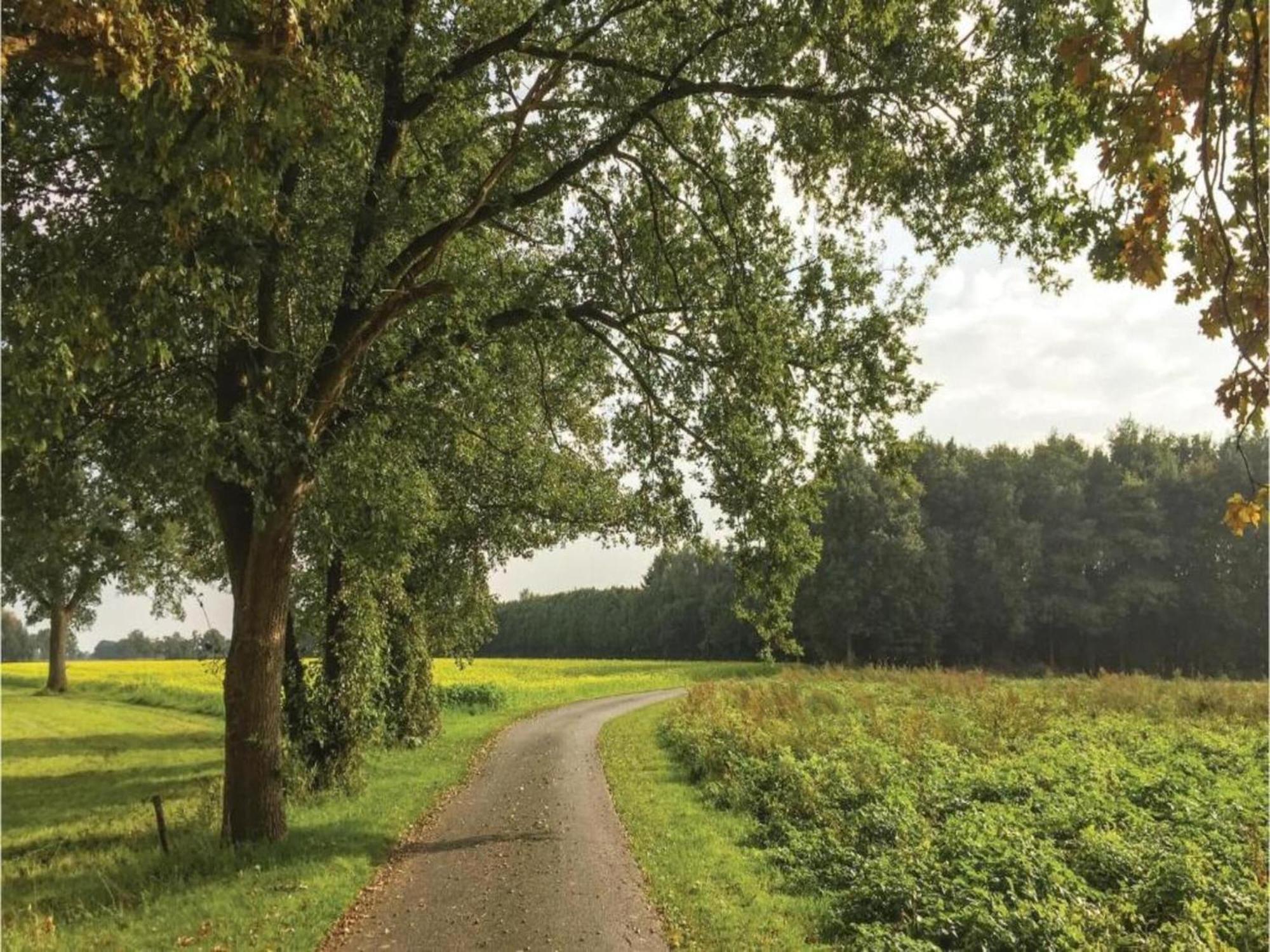 Monumental Farm In The Ash Landscape Villa Geesteren  Eksteriør billede