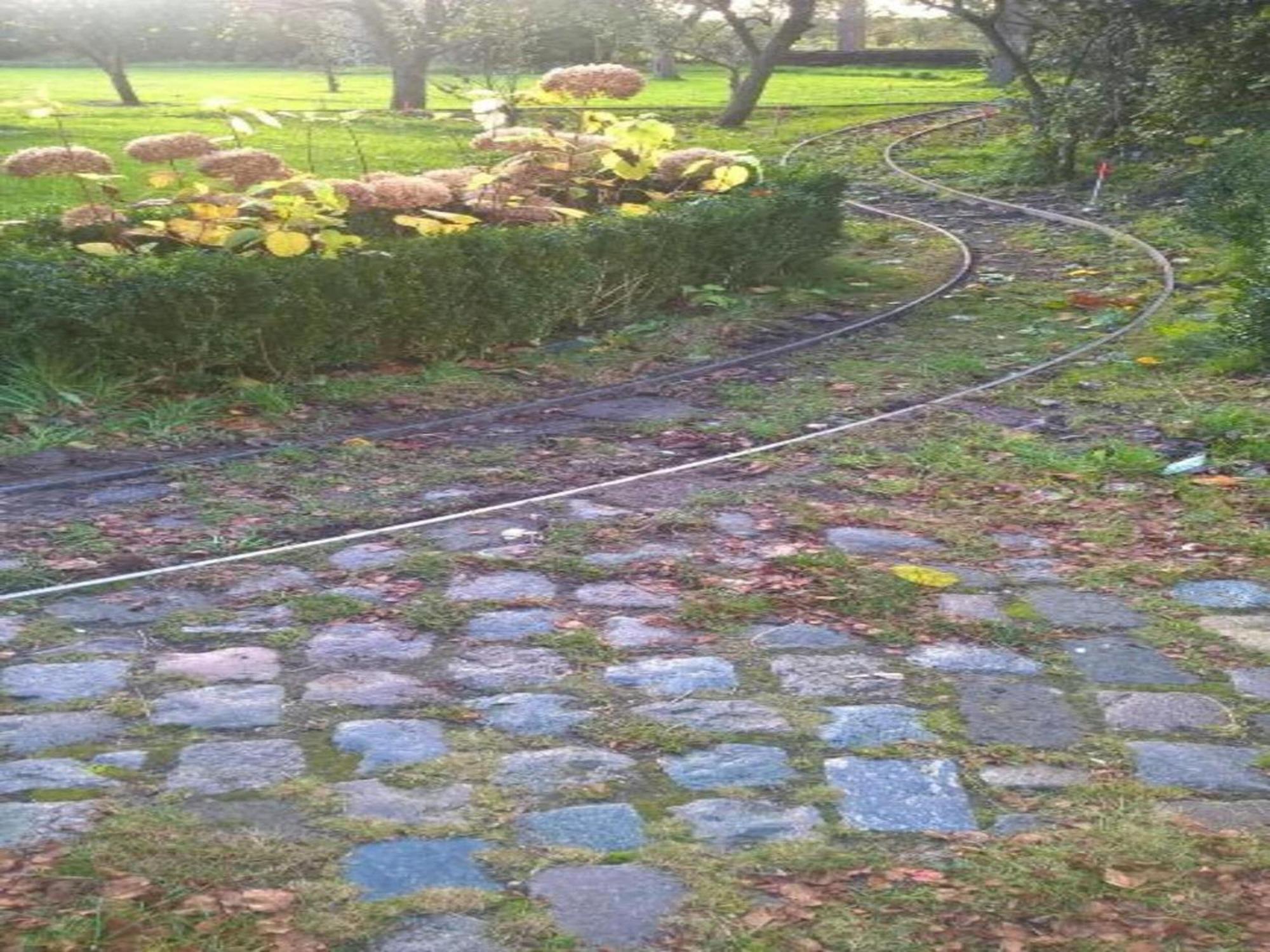 Monumental Farm In The Ash Landscape Villa Geesteren  Eksteriør billede