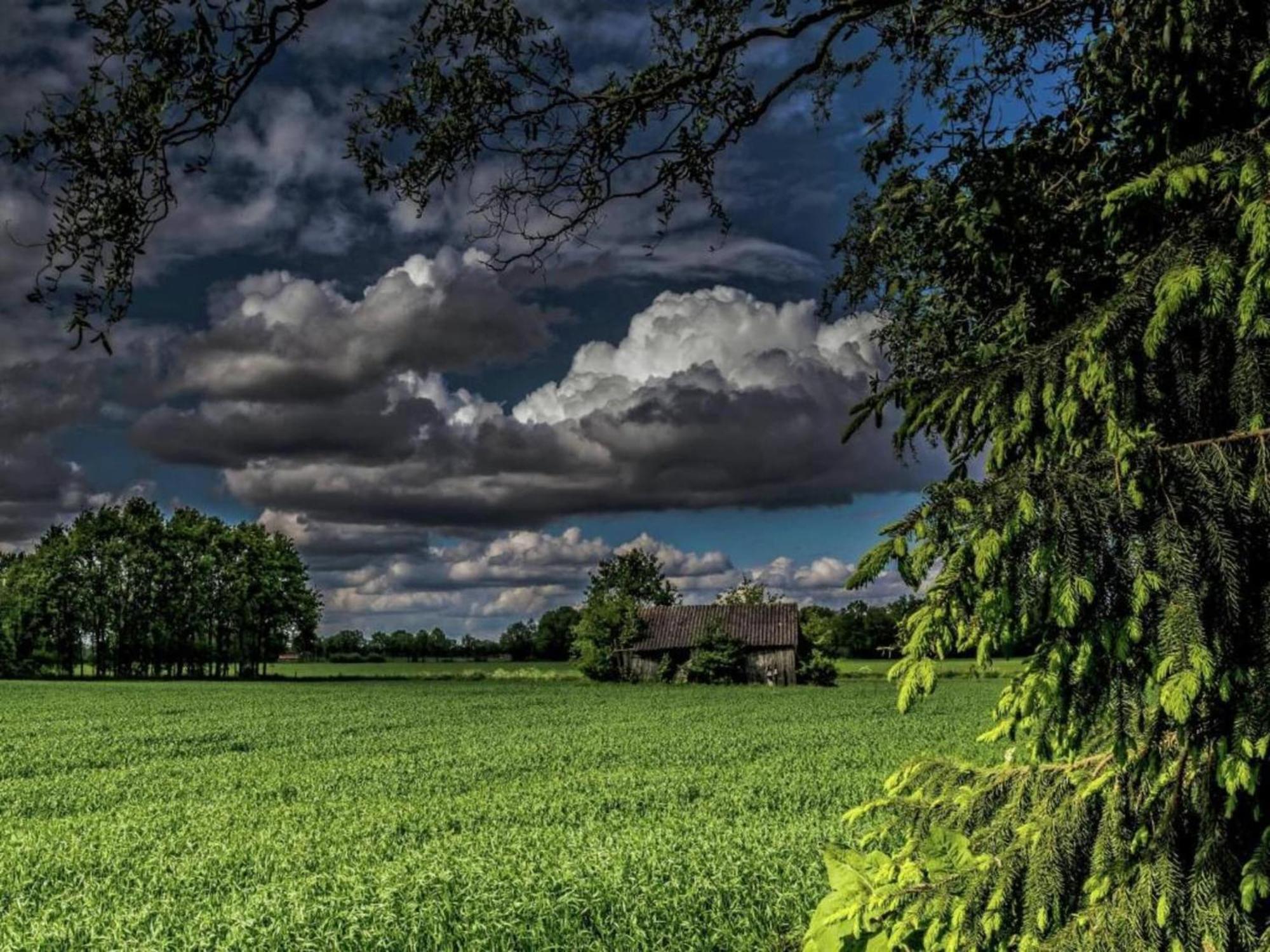 Monumental Farm In The Ash Landscape Villa Geesteren  Eksteriør billede